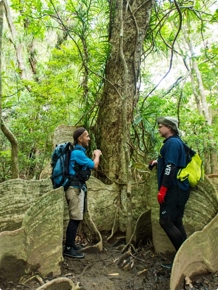 Iriomote-Island